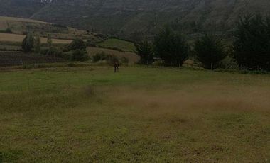 Venta o cambio terreno en la provincia del Carchi