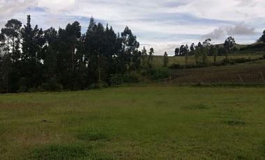 Venta o cambio terreno en la provincia del Carchi