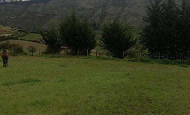 Venta o cambio terreno en la provincia del Carchi