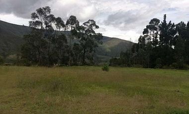 Venta o cambio terreno en la provincia del Carchi