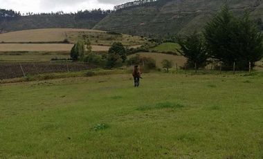 Venta o cambio terreno en la provincia del Carchi