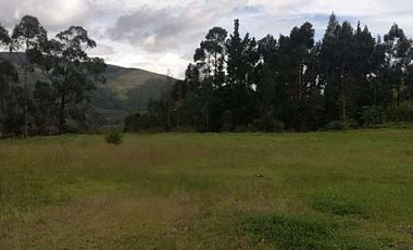Venta o cambio terreno en la provincia del Carchi