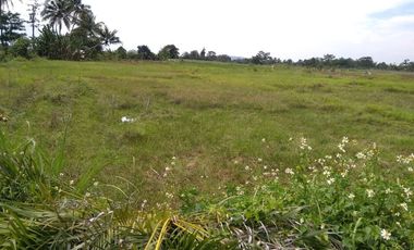 Tanah Kavling Cemplang