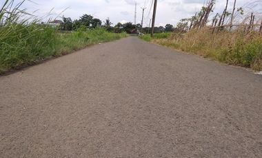 Tanah Kavling Cemplang