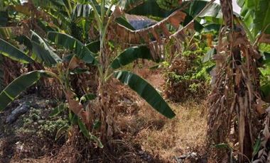 Dijual tanah sumber banjarsari