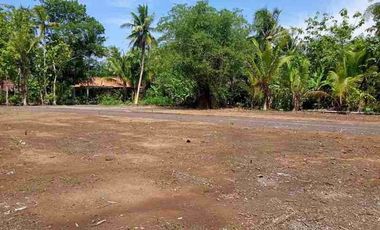Angsur 12X: Tanah Kavling Jogja, Sertipikat SHM, Dekat Bandara YIA