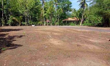 Angsur 12X: Tanah Kavling Jogja, Sertipikat SHM, Dekat Bandara YIA