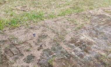 Tanah Padat Siap Bangun Belakang Kota Baru Parahyangan Padalarang Bandung Barat