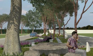 Tek Park | Lotes Industriales