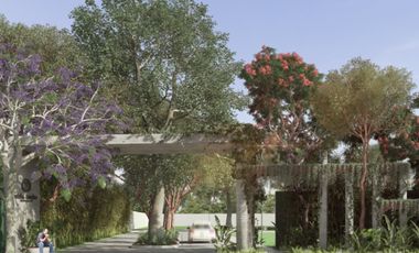 Tek Park | Lotes Industriales