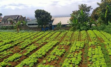 Harga Masih Sunrise Kavling Cihanjuang Village Tawar Sampai Deal Hnya 1Jt-an