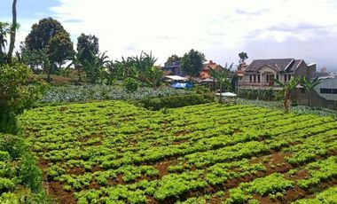 Harga Masih Sunrise Kavling Cihanjuang Village Tawar Sampai Deal Hnya 1Jt-an