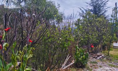 VENTA RANCHO AGUA NACIDA MINERAL DEL CHICO $61.8 el m2