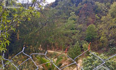 VENTA RANCHO AGUA NACIDA MINERAL DEL CHICO $61.8 el m2