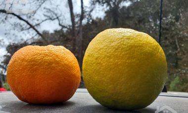 VENTA RANCHO AGUA NACIDA MINERAL DEL CHICO $61.8 el m2