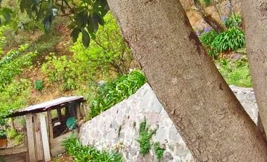 VENTA RANCHO AGUA NACIDA MINERAL DEL CHICO $61.8 el m2