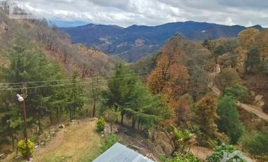 VENTA RANCHO AGUA NACIDA MINERAL DEL CHICO $61.8 el m2