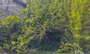 VENTA RANCHO AGUA NACIDA MINERAL DEL CHICO $61.8 el m2