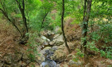 VENTA RANCHO AGUA NACIDA MINERAL DEL CHICO $61.8 el m2