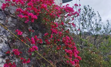 VENTA RANCHO AGUA NACIDA MINERAL DEL CHICO $61.8 el m2