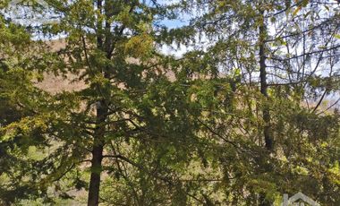 VENTA RANCHO AGUA NACIDA MINERAL DEL CHICO $61.8 el m2