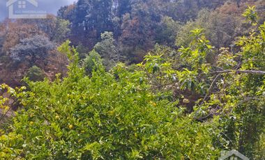 VENTA RANCHO AGUA NACIDA MINERAL DEL CHICO $61.8 el m2