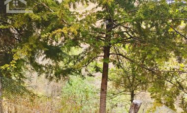 VENTA RANCHO AGUA NACIDA MINERAL DEL CHICO $61.8 el m2