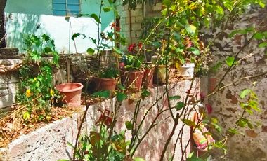 VENTA RANCHO AGUA NACIDA MINERAL DEL CHICO $61.8 el m2