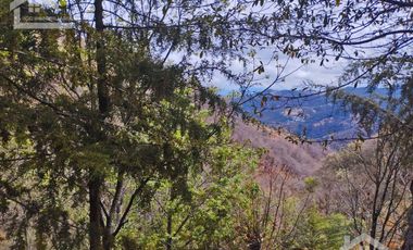VENTA RANCHO AGUA NACIDA MINERAL DEL CHICO $61.8 el m2