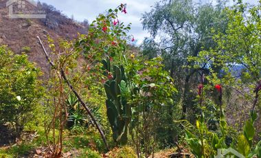 VENTA RANCHO AGUA NACIDA MINERAL DEL CHICO $61.8 el m2