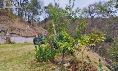 VENTA RANCHO AGUA NACIDA MINERAL DEL CHICO $61.8 el m2
