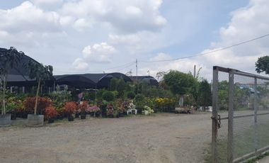 Terreno en Venta en Sector Buijo