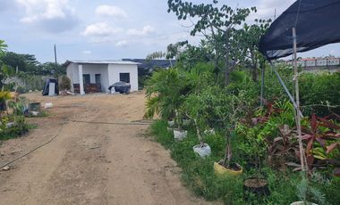 Terreno en Venta en Sector Buijo