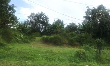 [4D58A8] Land for sale 1120m2 - Wonosegoro, Central Java