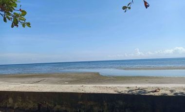 DUMAGUETE BEACHFRONT COTTAGES AND RESTAURANT FOR SALE