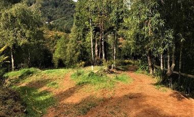 Casa en Venta en Niebla