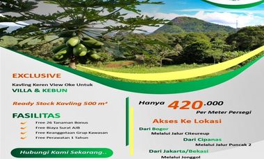 Tanah Produktif Kebun Durian Luas 500 Meter - Kavling Pesona Villa Sukaharja BOGOR