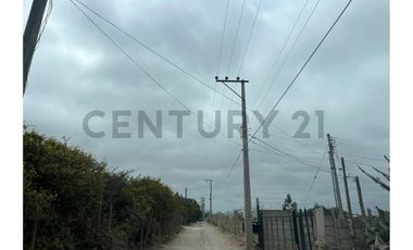 Vendo terreno Pan de azúcar, Coquimbo