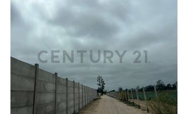 Vendo terreno Pan de azúcar, Coquimbo