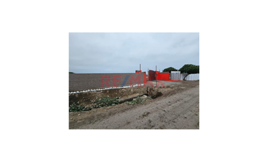 Venta De Lote De Terreno En San Vicente De Cañete