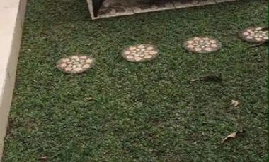 Villa Private Pool Murah Sanur Full Furnished 1,8M