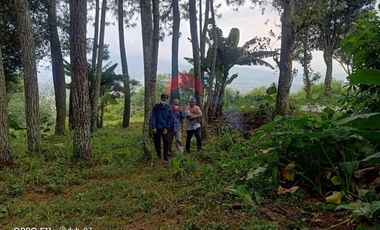 Tanah Kampung Daun Lembang Triniti Bandung