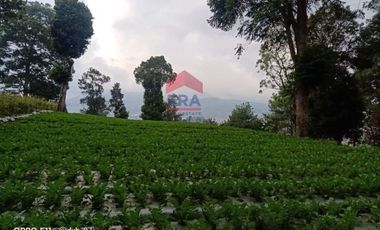 Tanah Kampung Daun Lembang Triniti Bandung