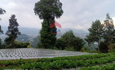 Tanah Kampung Daun Lembang Triniti Bandung