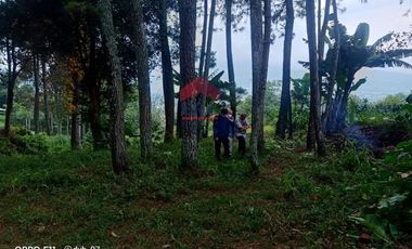 Tanah Kampung Daun Lembang Triniti Bandung