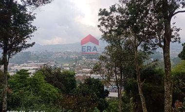 Tanah Kampung Daun Lembang Triniti Bandung