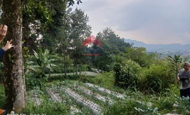 Tanah Kampung Daun Lembang Triniti Bandung