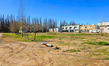 Terreno en  Barrio Perticone Centenario