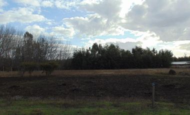 Parcela de 5.000 m2 San Ignacio, Ñuble