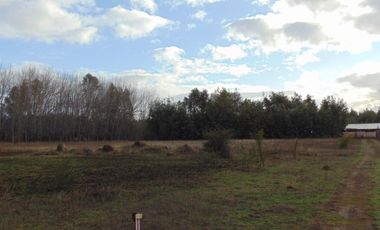 Parcela de 5.000 m2 San Ignacio, Ñuble